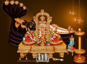 sriranganathar srirangam